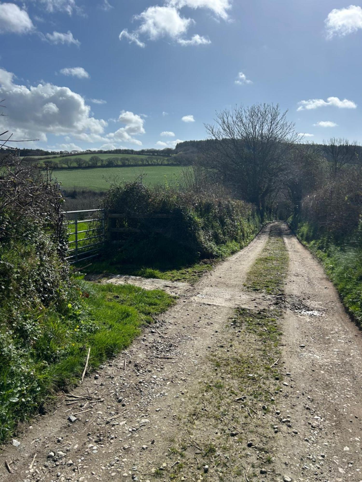 Meadowside Cottage, Characterful Grade 2 Listed Cottage Near To Wadebridge And Padstow Экстерьер фото